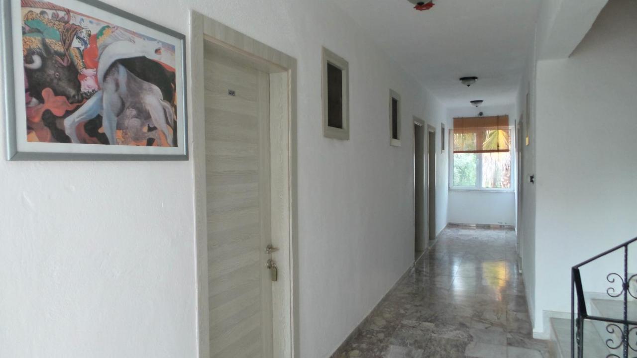 Native Hotel Ovacık Exteriér fotografie
