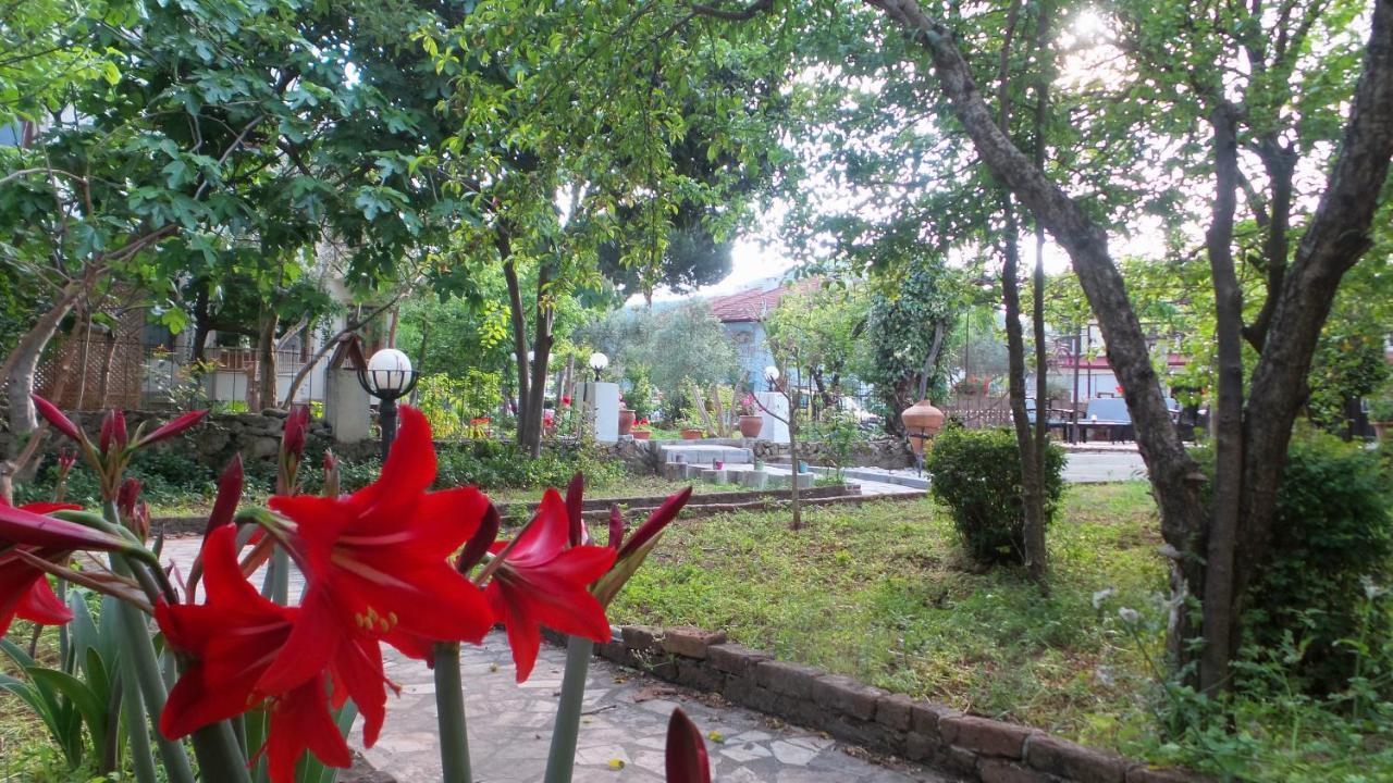 Native Hotel Ovacık Exteriér fotografie